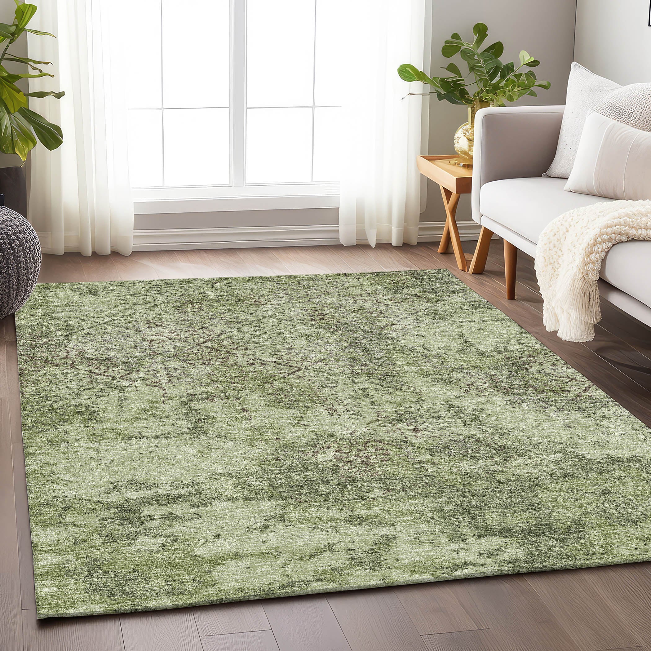 Bangkok Machine Washable Transitional Aloe Green Rug 2'6" x 3'10" #shape_Rectangle