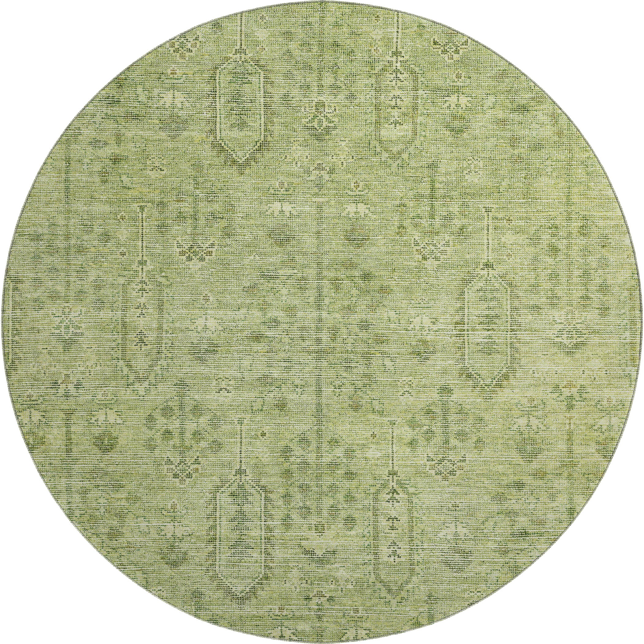 Lima Machine Washable Transitional Sage Green Rug 8' x 8' #shape_Round