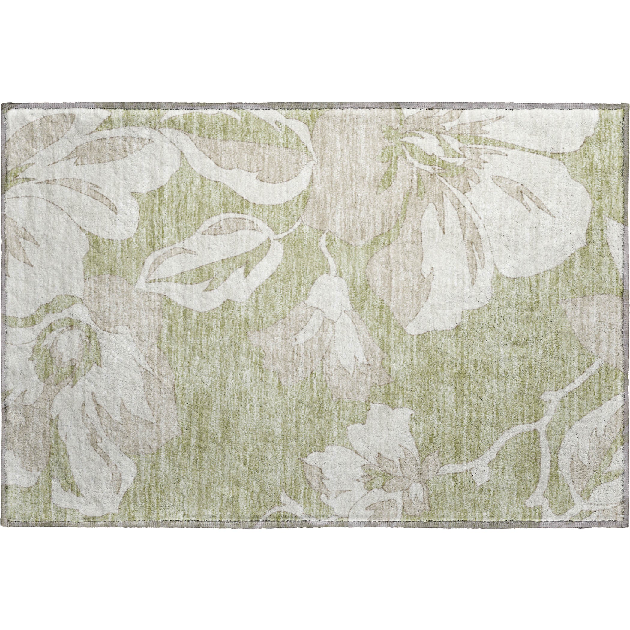 Oaxaca Machine Washable Transitional Aloe Green Rug 1'8" x 2'6" #shape_Rectangle