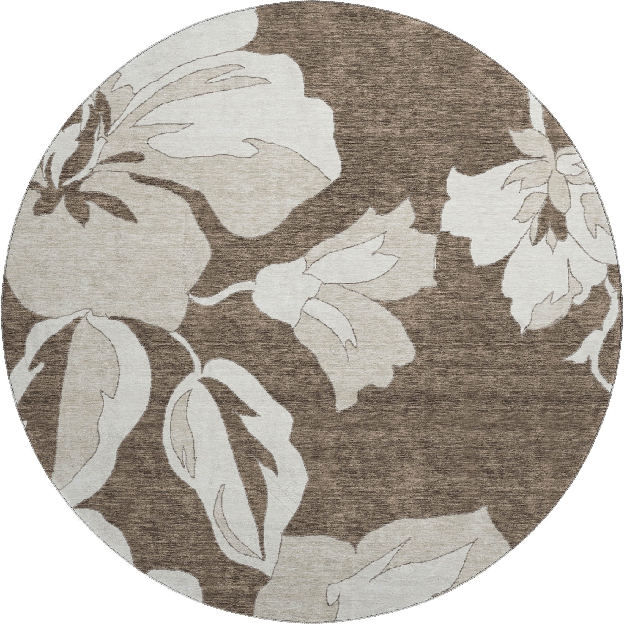 Oaxaca Machine Washable Transitional Brown Rug 8' x 8' #shape_Round