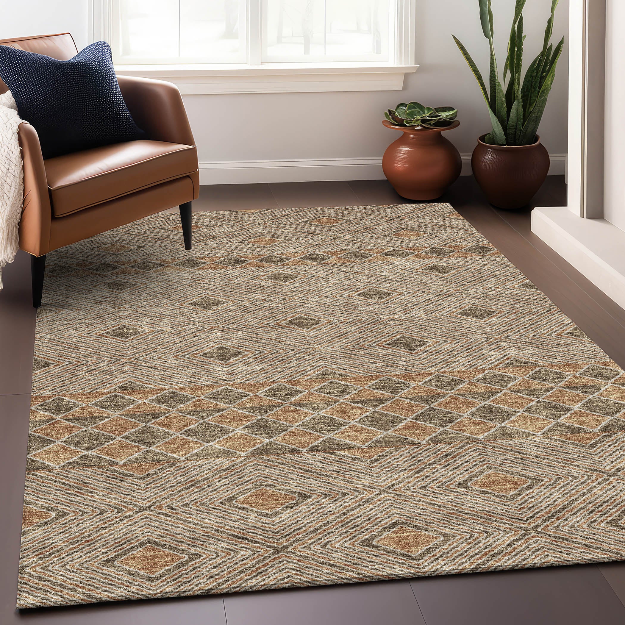 Dubrovnik Machine Washable Transitional Brown Rug 2'6" x 3'10" #shape_Rectangle