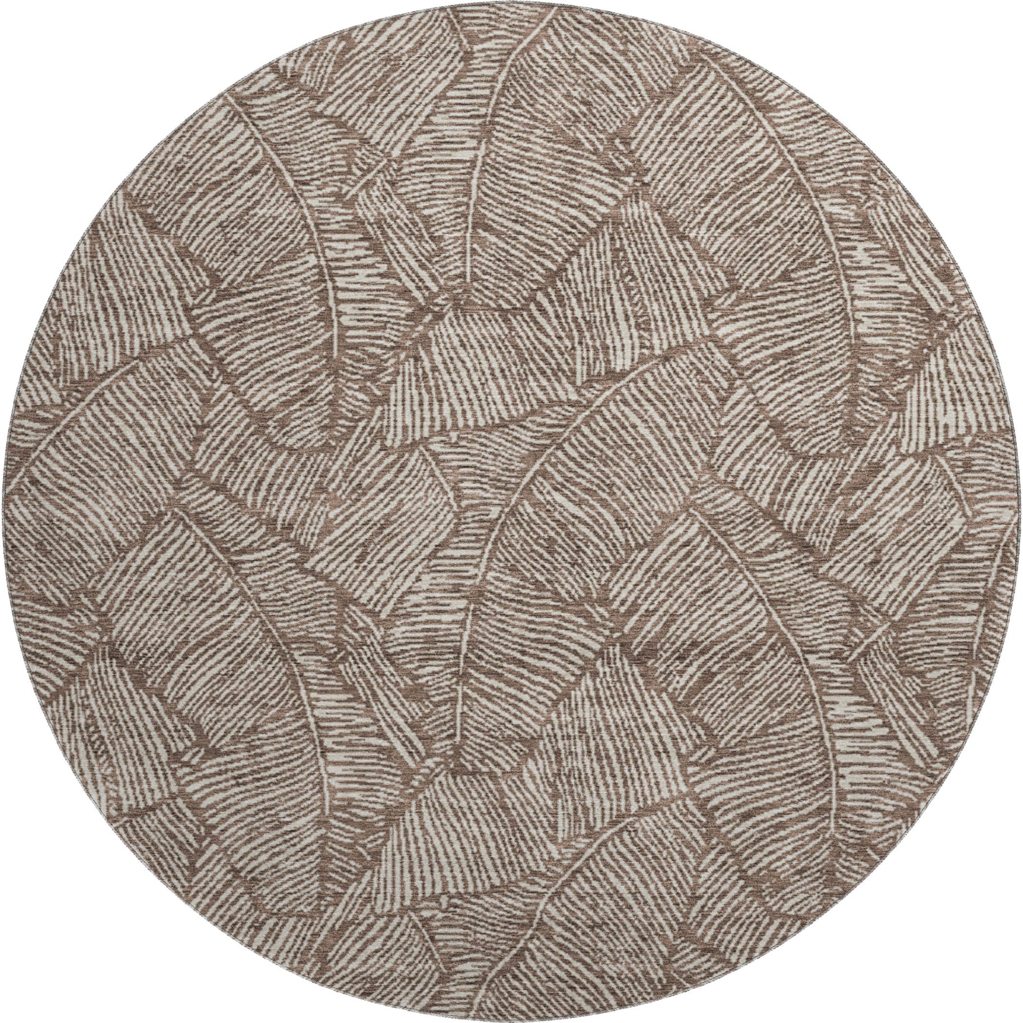 Dubrovnik Machine Washable Transitional Brown Rug 8' x 8' #shape_Round