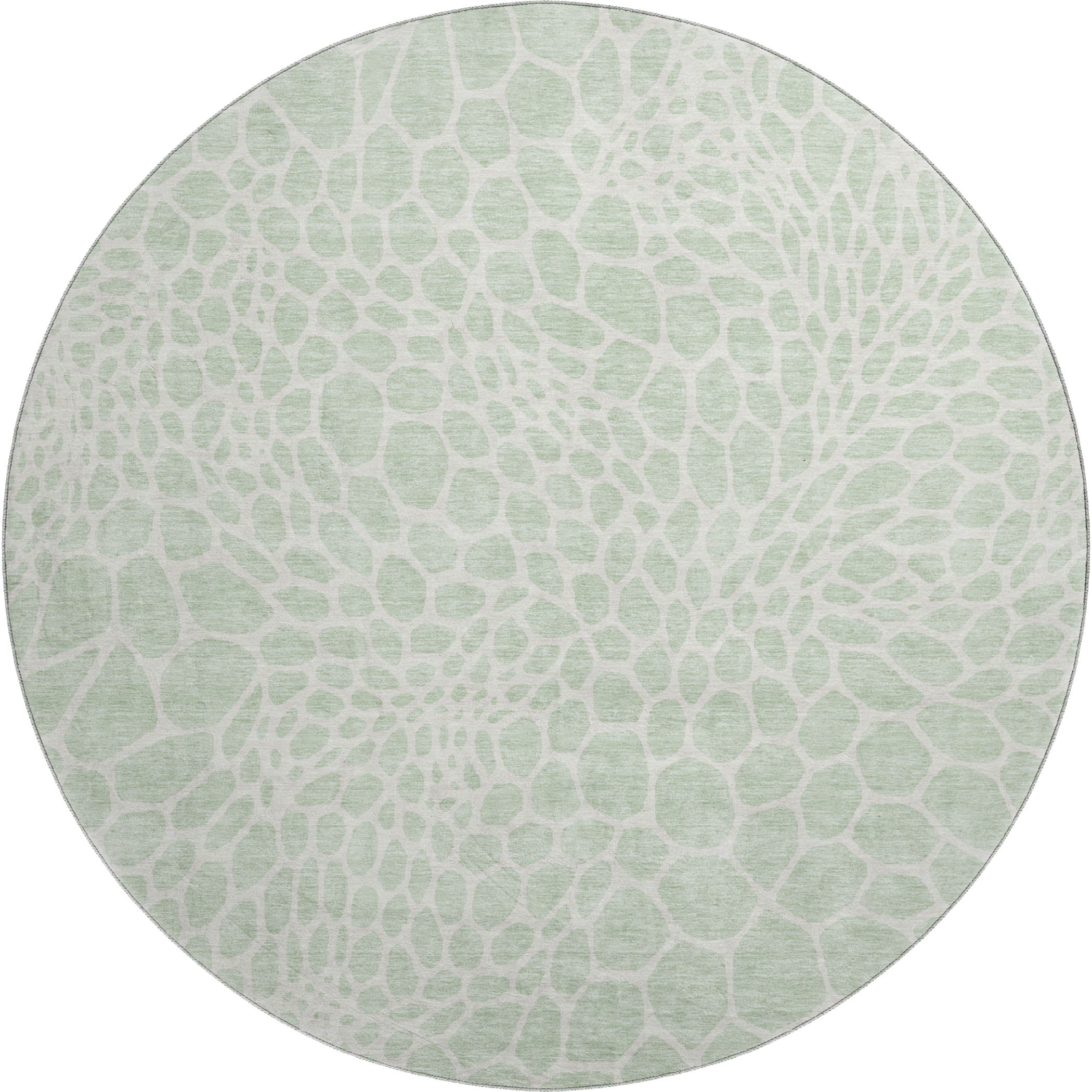 Rome Machine Washable Transitional Mint Green Rug 8' x 8' #shape_Round