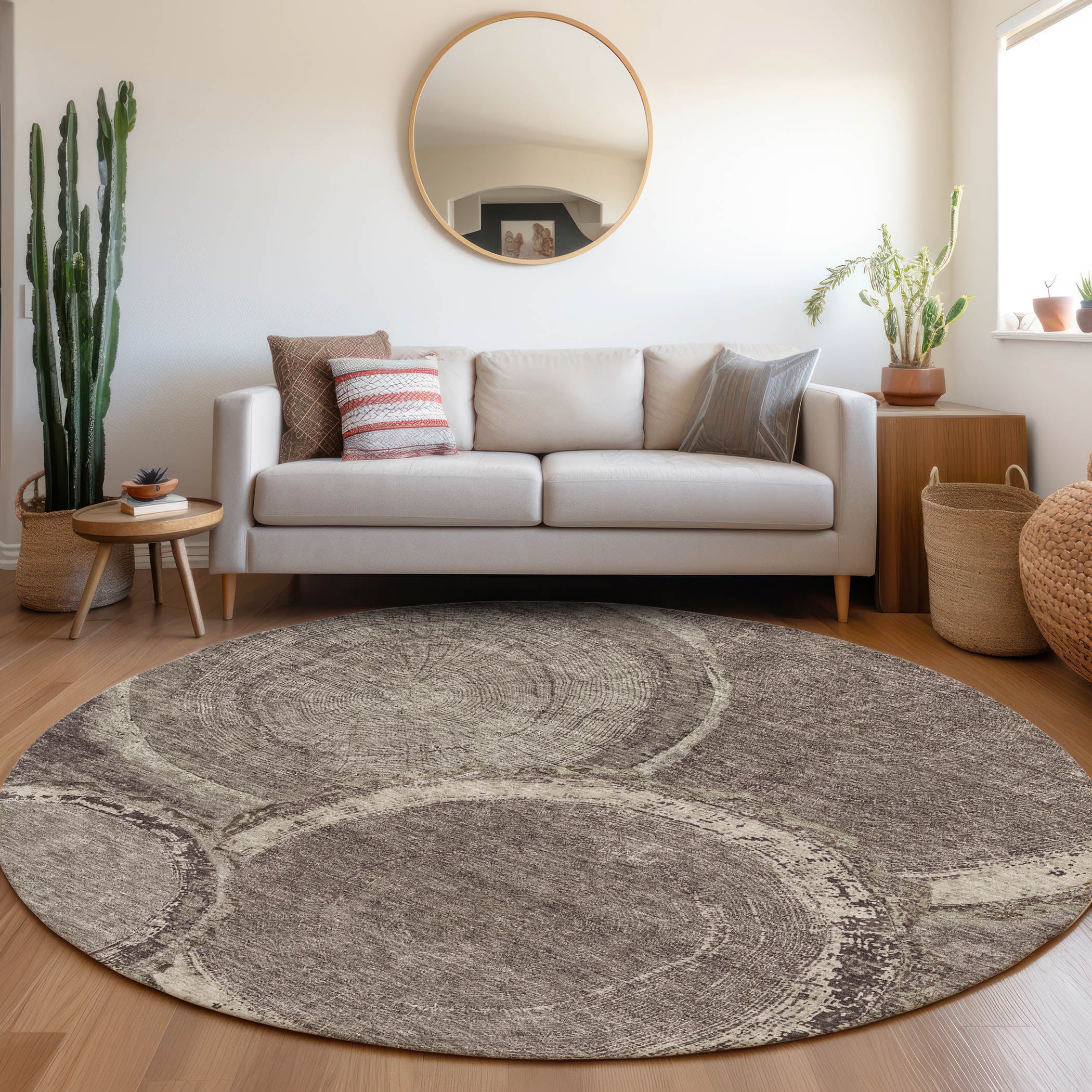 Kotor Machine Washable Transitional Chocolate Brown Rug 8' x 8' #shape_Round