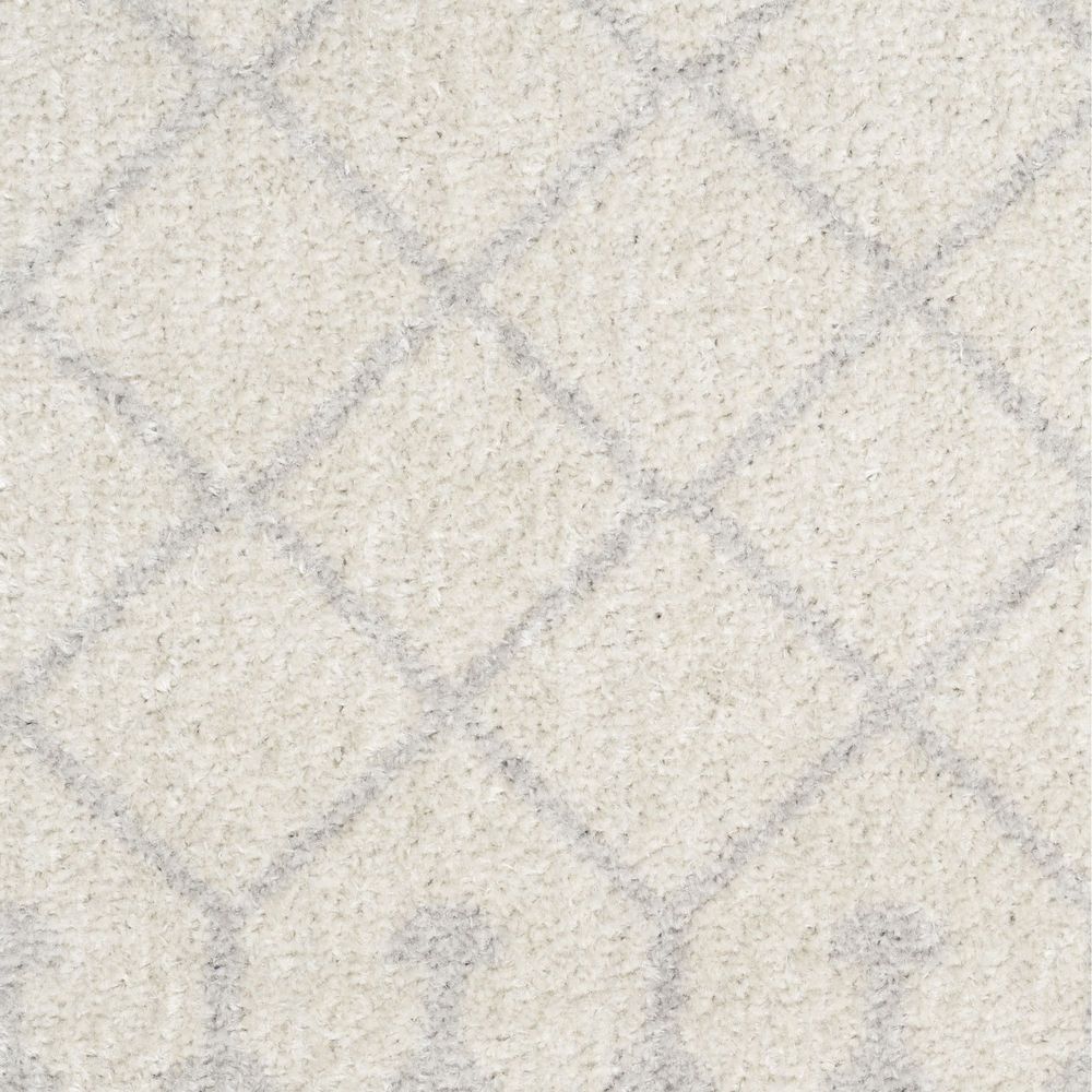 Astra Machine Washable ASW10 Ivory Rugs #color_ivory