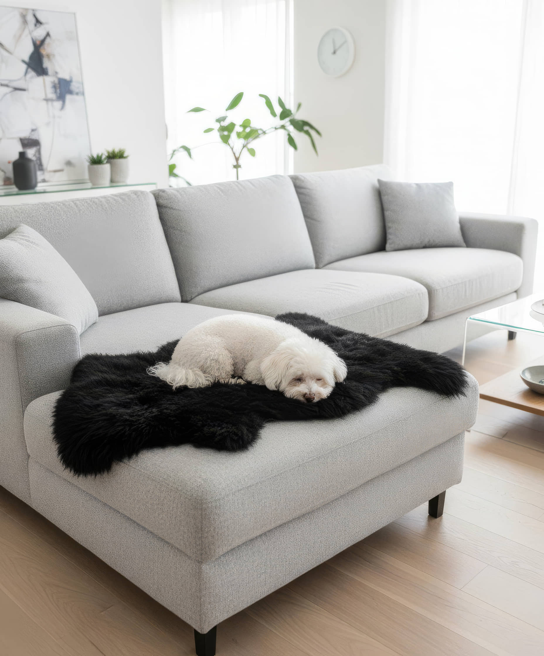 black sheepskin rug sheep skin fur carpet #size_2' x 3'