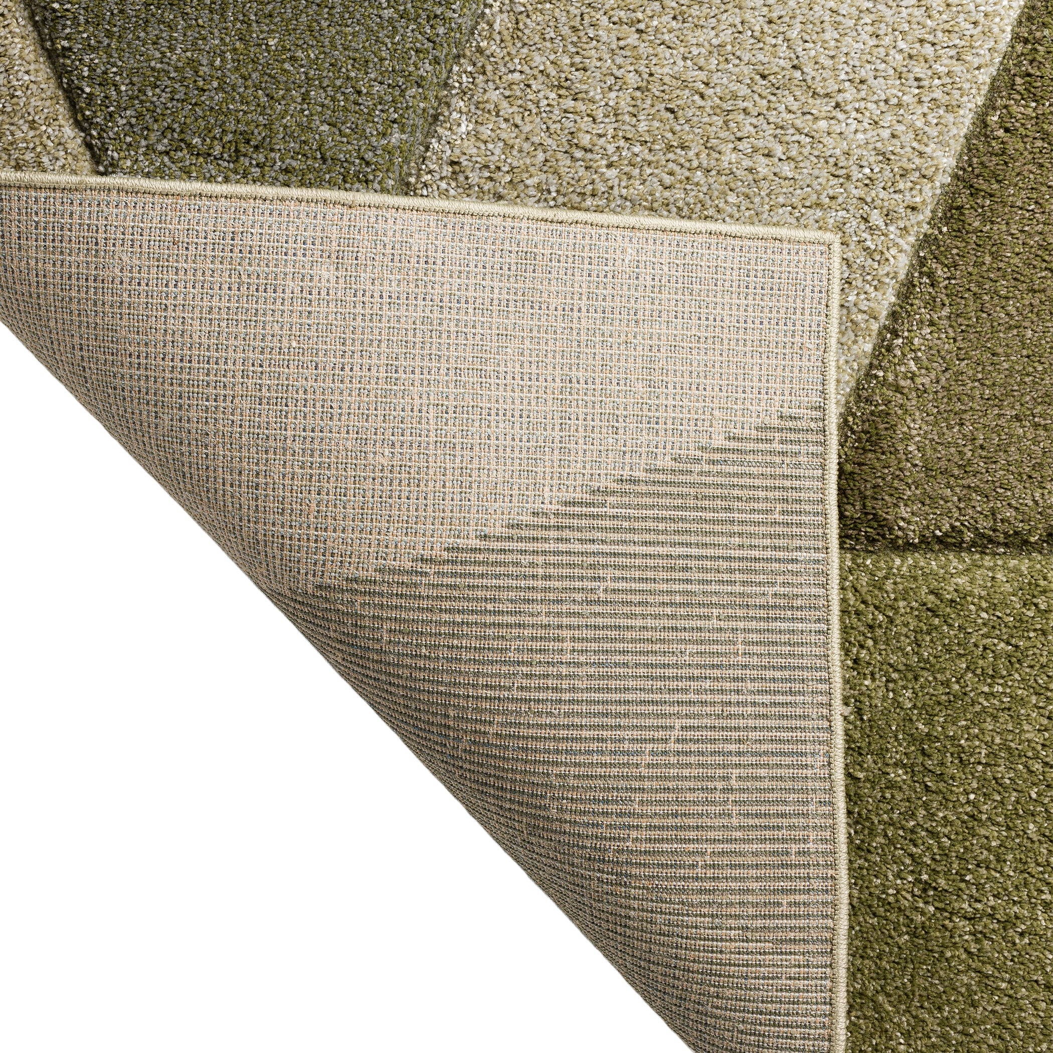 Transitional CO4 Cactus Green Rug 3'1" x 5' #shape_Rectangle