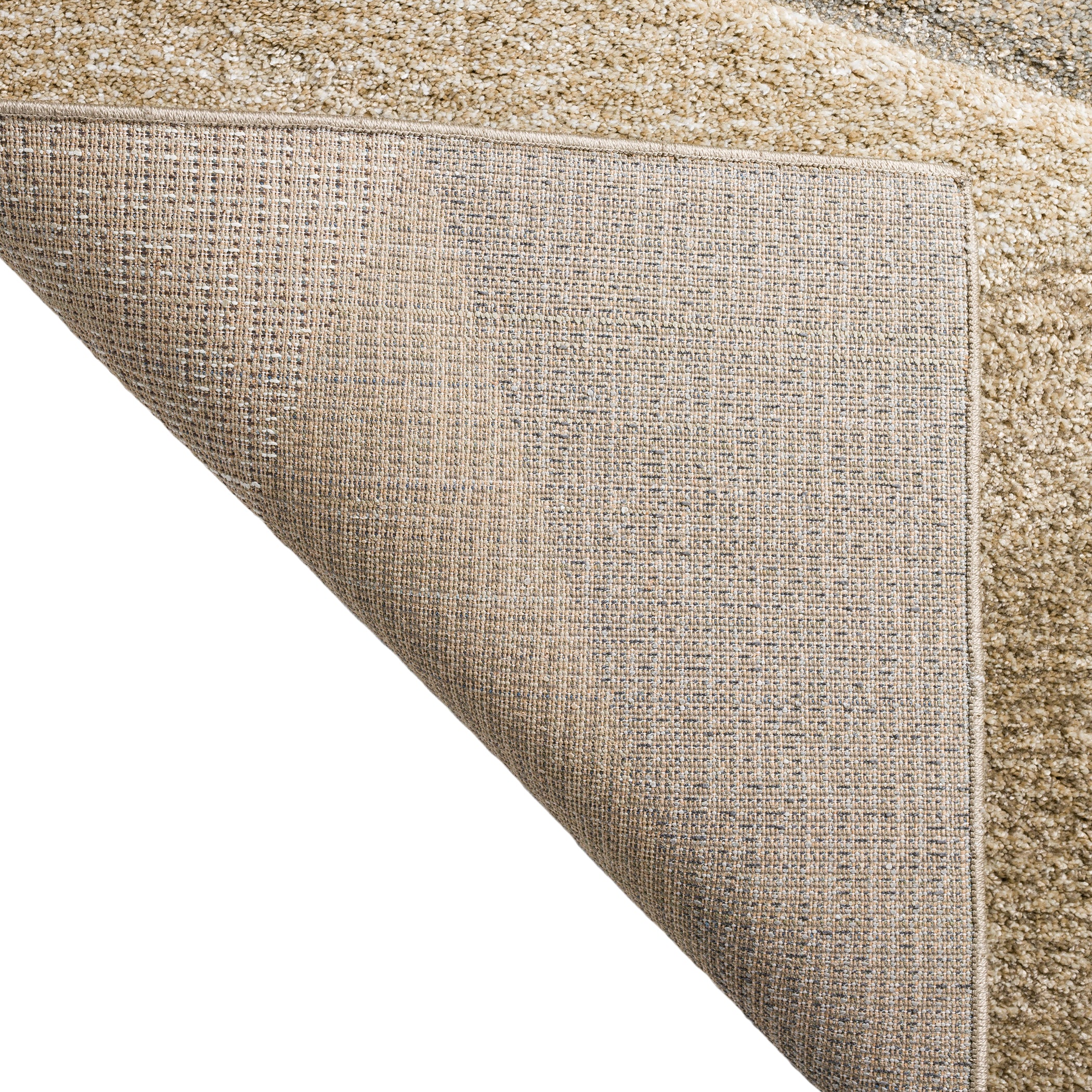 Transitional CO6 Khaki Brown Rug 3'1" x 5' #shape_Rectangle