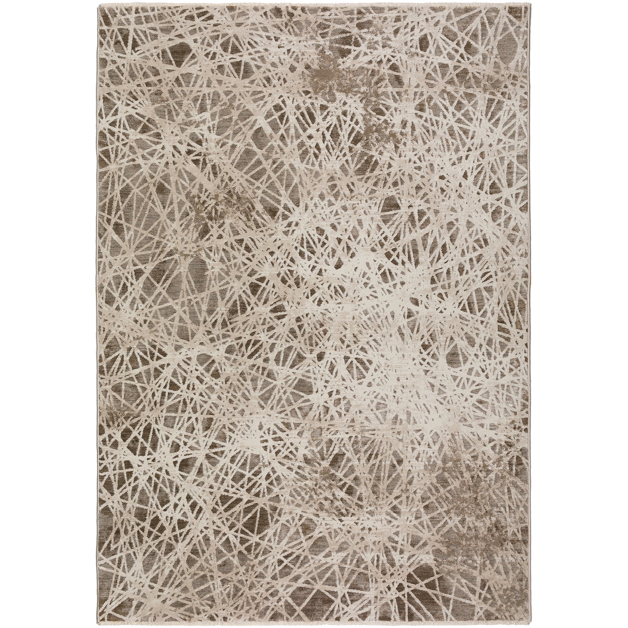 Transitional DZ4 Taupe Brown Rug 3'3" x 5'3" #shape_Rectangle