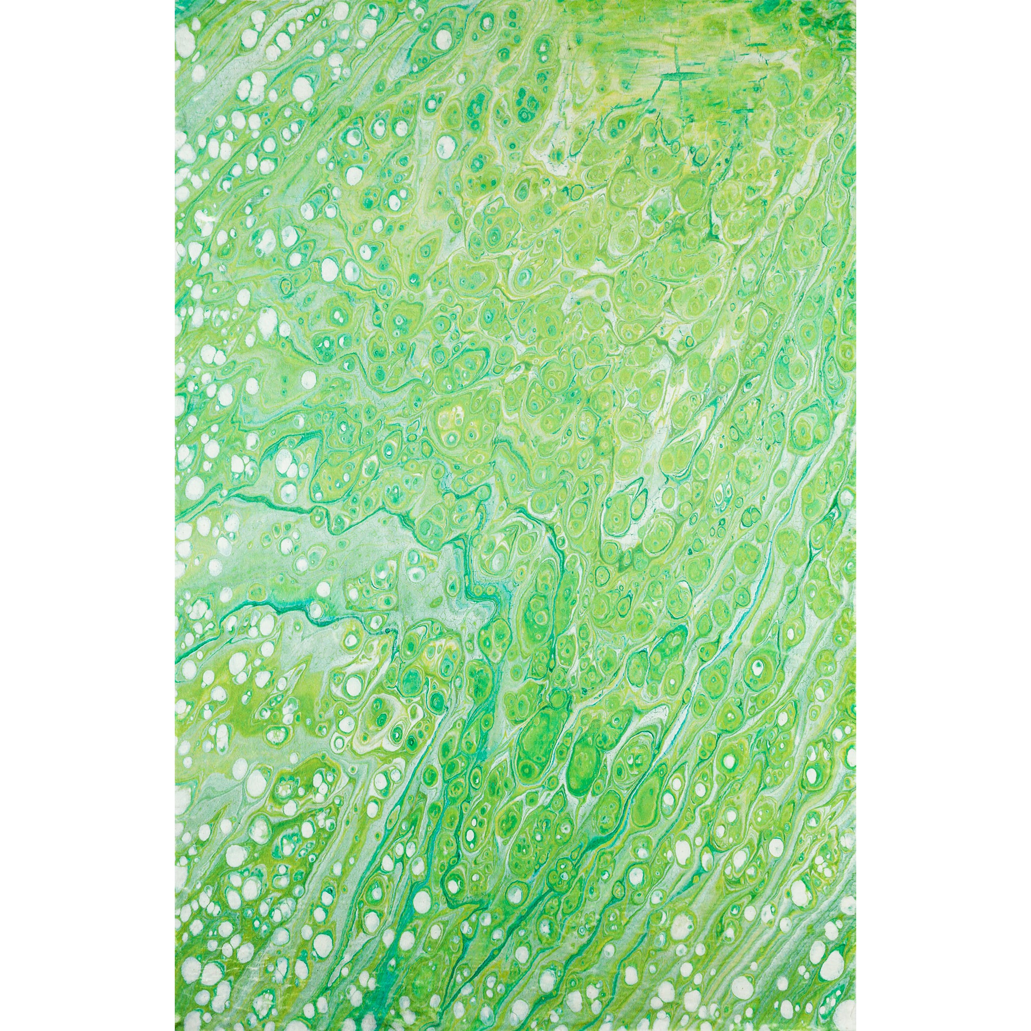 Luxury Machine Washable Contemporary KK5 Lime-In Green Rug 3' x 5' #shape_Rectangle