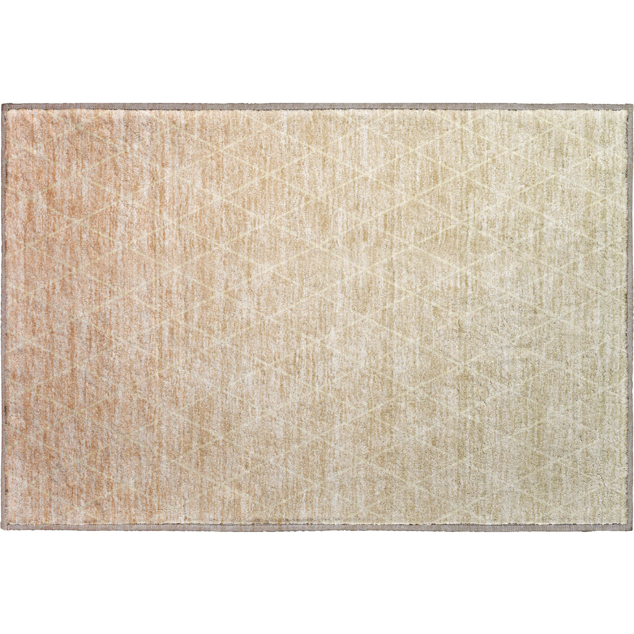 Luxury Washable Indoor/Outdoor transitional LZ2 Salmon Orange Rug 1'8" x 2'6" #shape_Rectangle