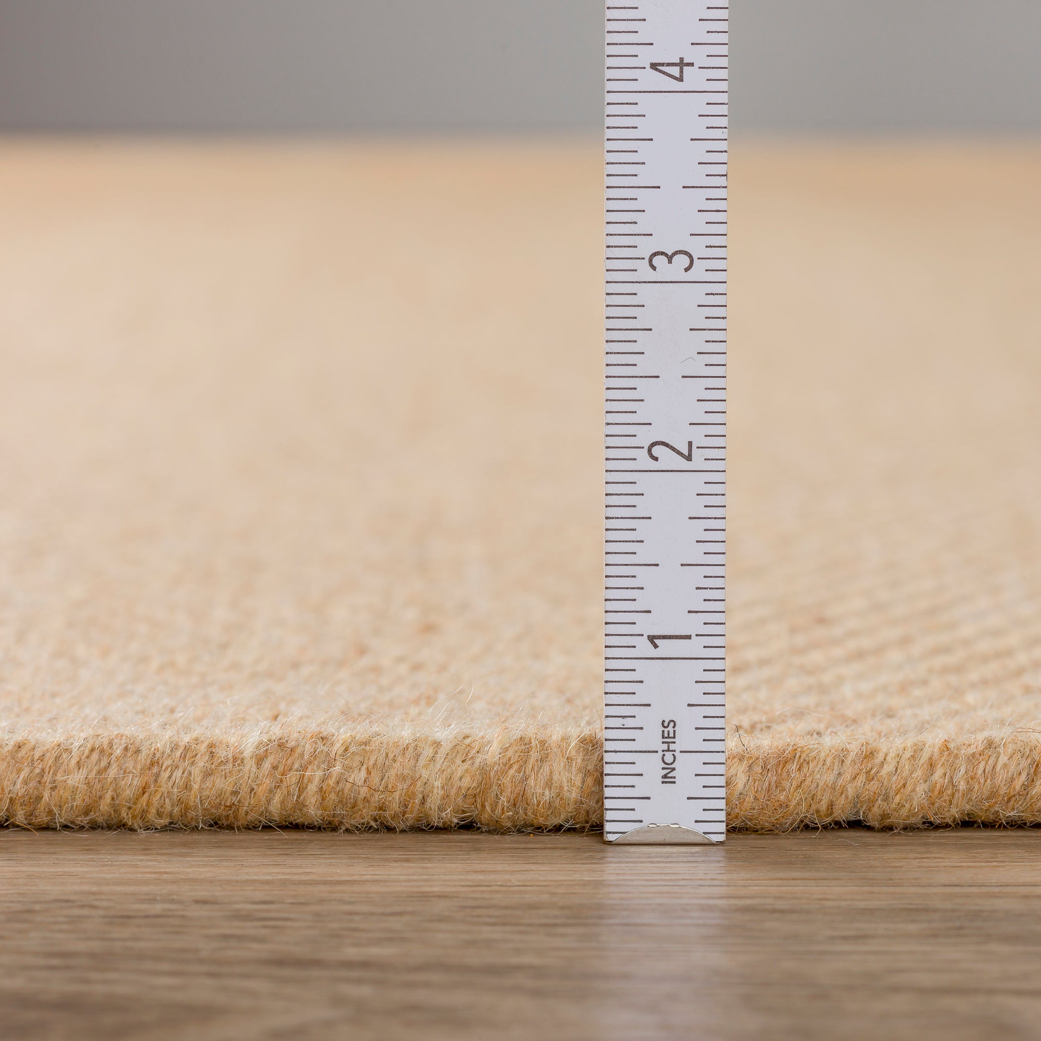 Transitional MC200 Ecru Ivory Wool Rug 2' x 3' #shape_Rectangle