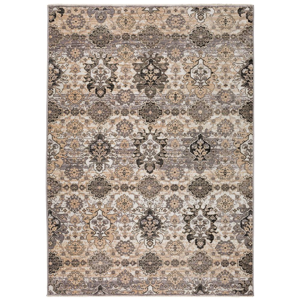Odessa OD7 Pewter Gray Area Rug #color_pewter gray