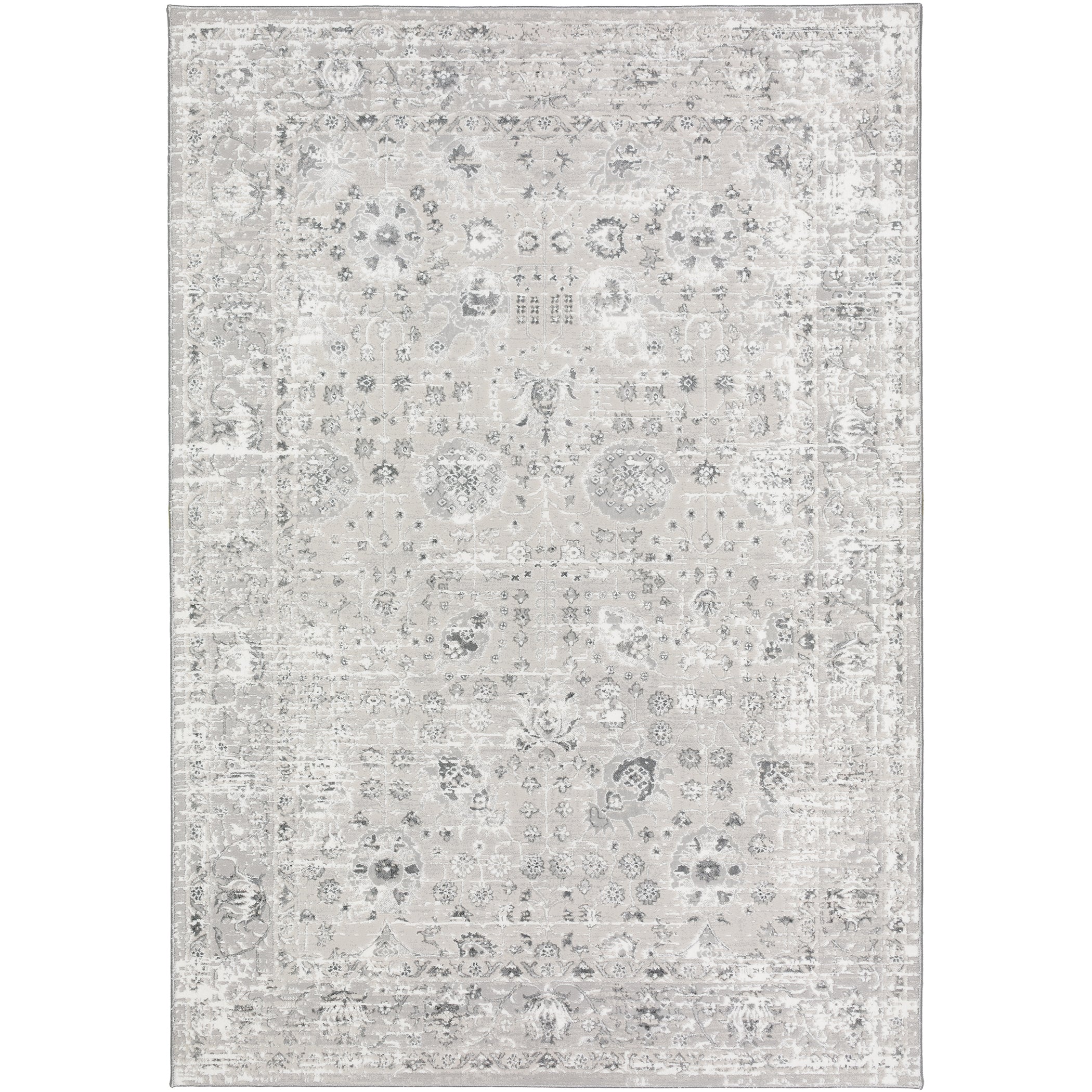 Transitional RR8 Silver Gray Rug 3'2" x 5'1" #shape_Rectangle