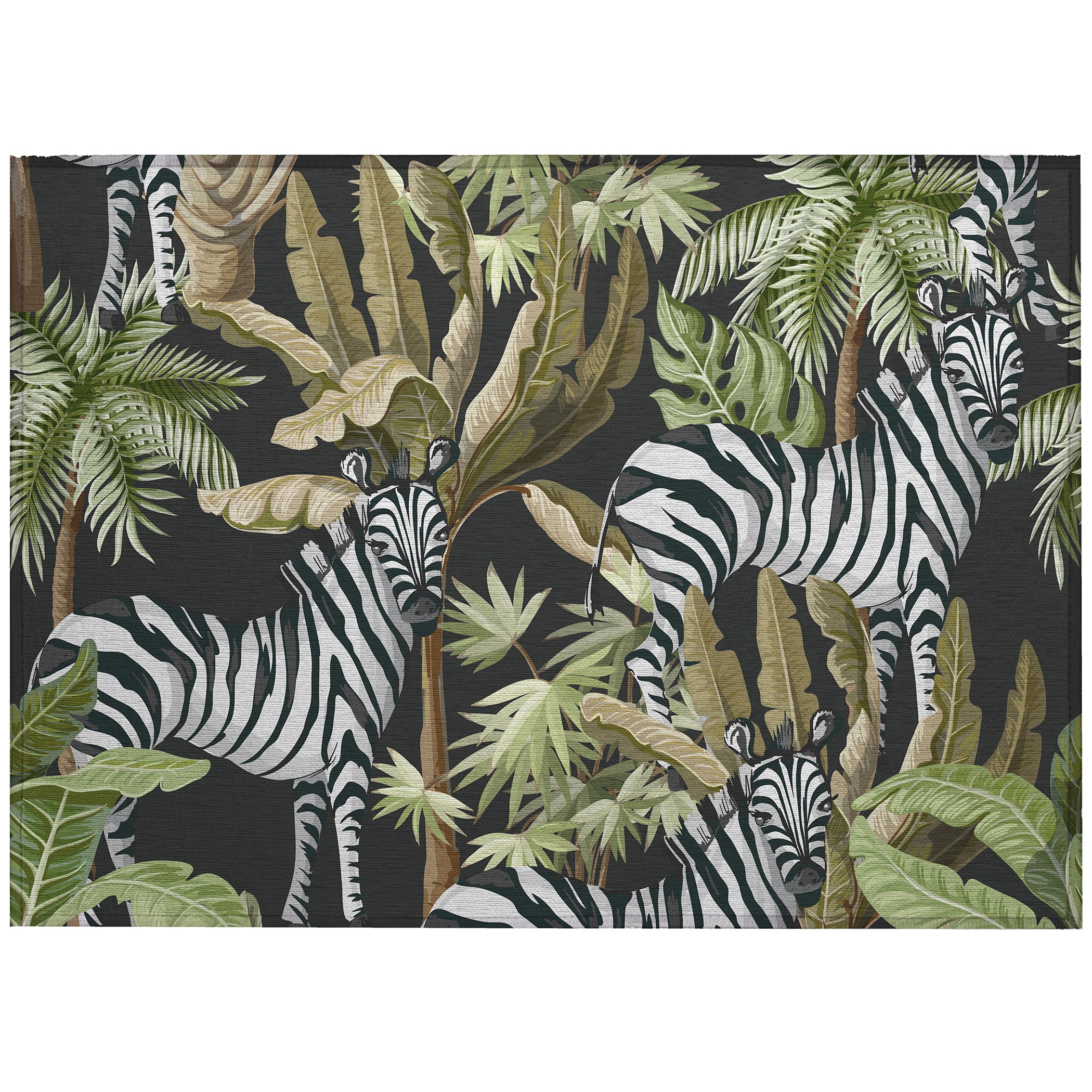 Luxury Machine Washable Indoor/Outdoor Tropical TC13 Black Rug 1'8" x 2'6" #shape_Rectangle