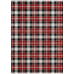 Luxury Machine Washable Indoor/Outdoor Holiday WN25 Black Rug 2'6" x 3'10" #shape_Rectangle