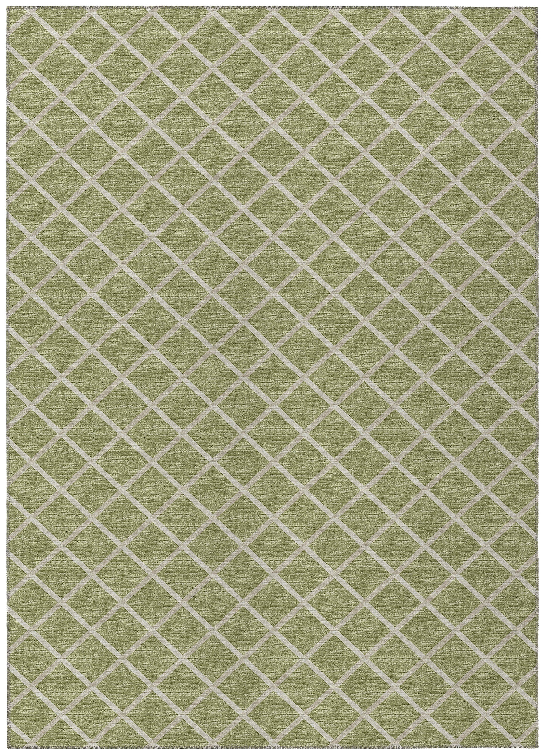 Luxury Machine Washable Indoor/Outdoor Transitional YO1 Aloe Green Rug 3' x 5' #shape_Rectangle