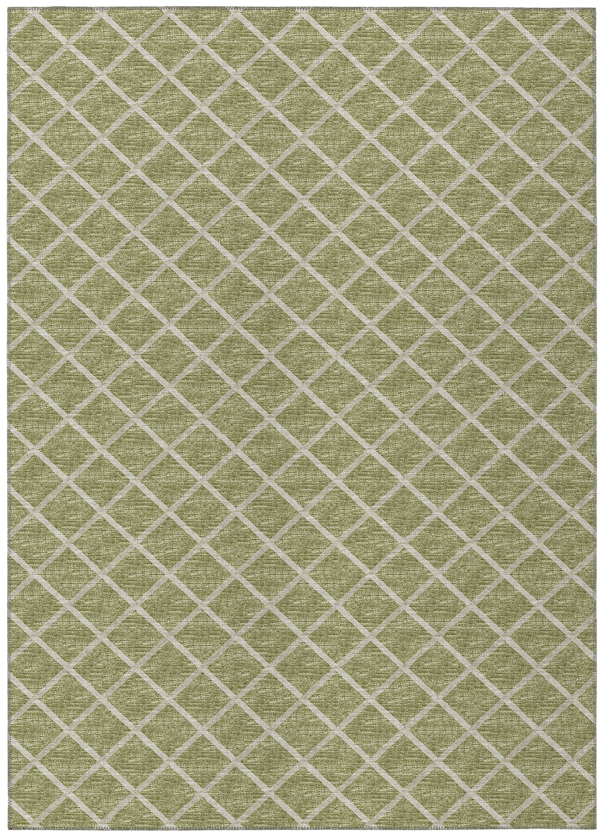 Luxury Machine Washable Indoor/Outdoor Transitional YO1 Aloe Green Rug 3' x 5' #shape_Rectangle
