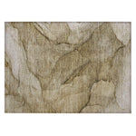 Machine Washable Brown Rug - Indoor / Outdoor - Kids / Pet Friendly Modern Print Rug