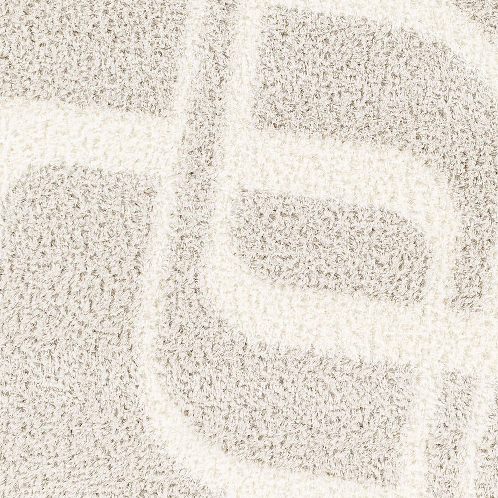 Cloudy Shag CDG-2309 Ivory / Gray Rugs #color_ivory / gray