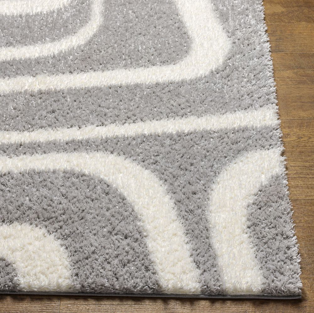 Cloudy Shag CDG-2310 Gray / Ivory Rugs #color_gray / ivory