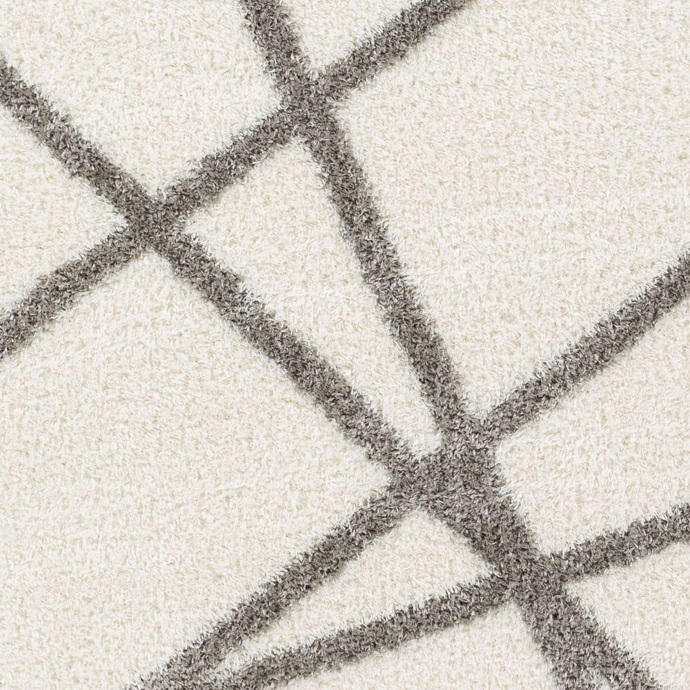 Cloudy Shag CDG-2316 Ivory / Gray Rugs #color_ivory / gray