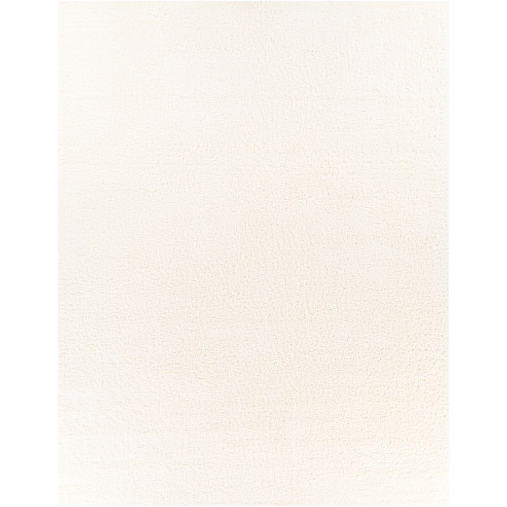 Deluxe Shag DXS-2300 White Rugs #color_white