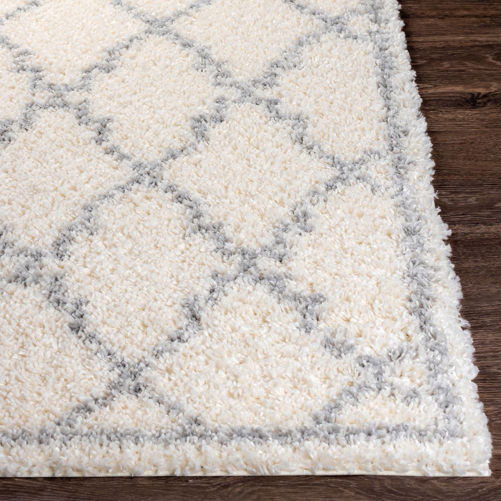 Deluxe Shag DXS-2305 Off-White Rugs #color_off-white