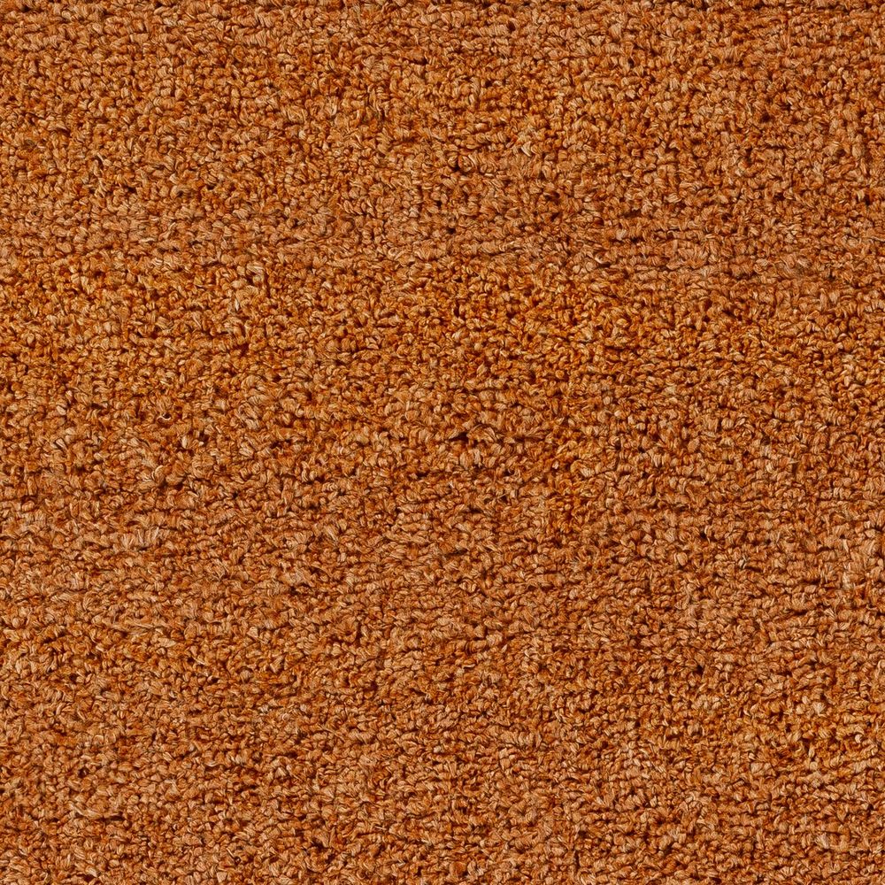 Deluxe Shag DXS-2322 Rust Rugs #color_rust