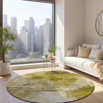 Machine Made ACN595 Gold  Rugs 