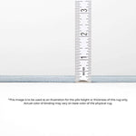 Machine Made ACN590 Gray  Rugs 