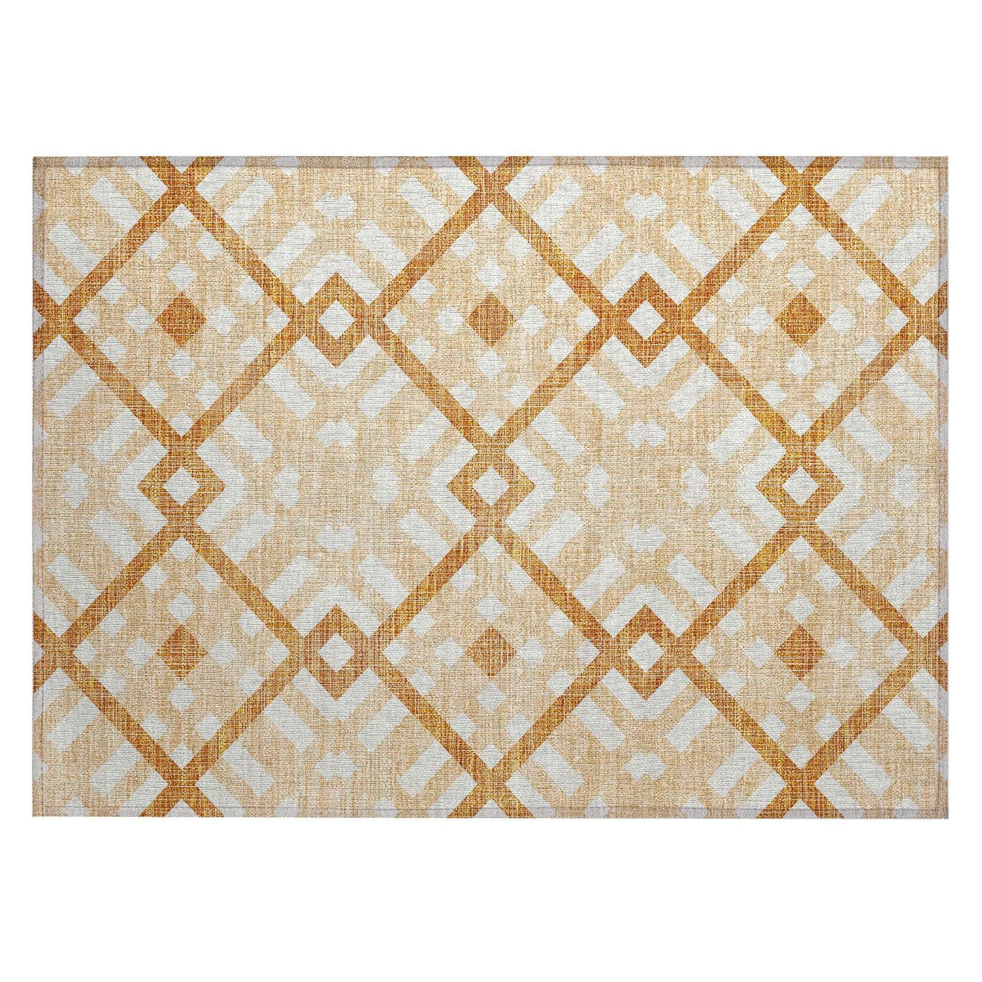 Machine Made ACN616 Peach Orange Rugs 