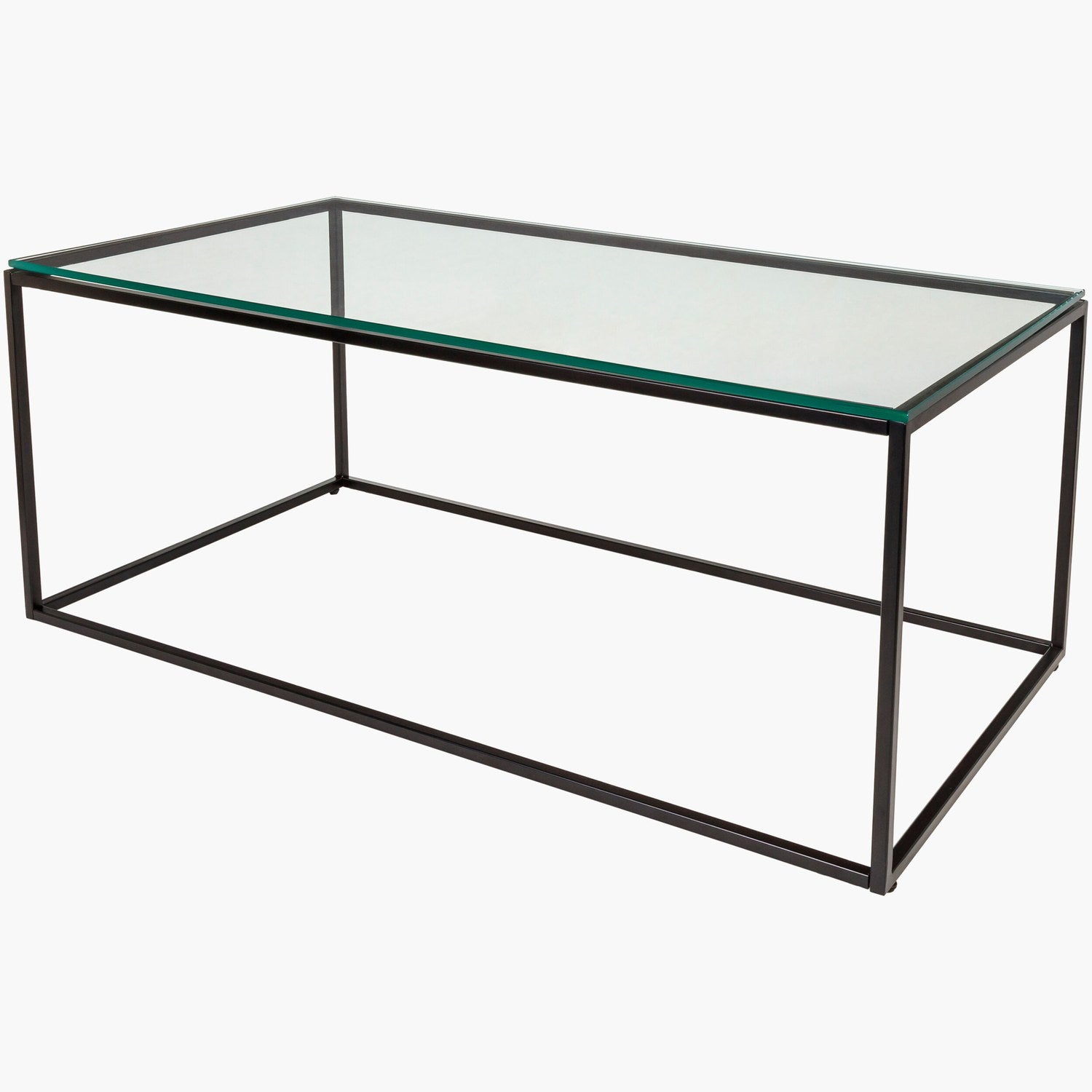 Aryaa Coffee Table in Clear 003