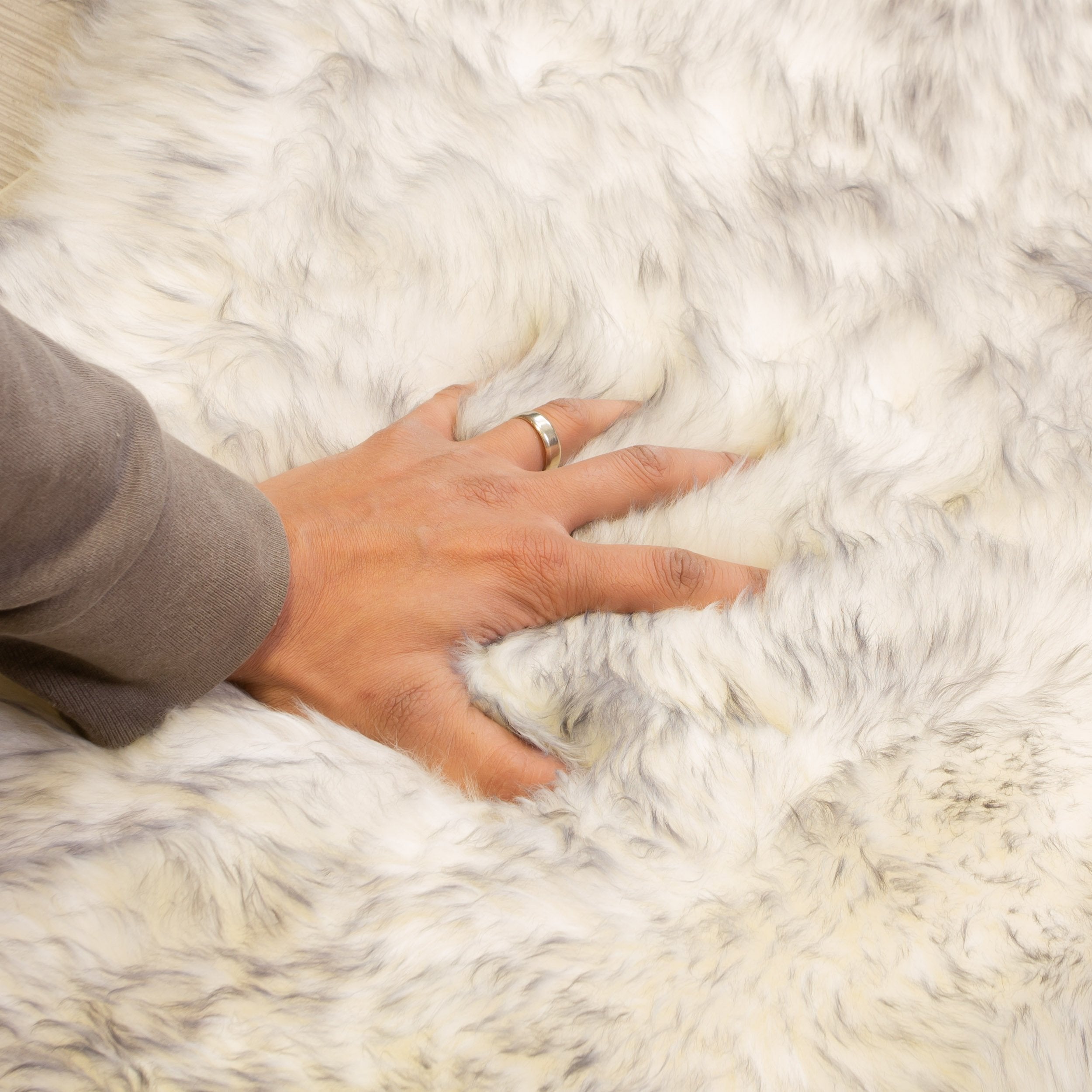 Natural Sheepskin Rug Shearling Fur Pelt #color_gray tips